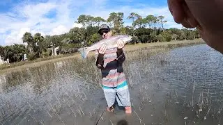 Floodtide Redfish --My Cousin catches his FIRST on Eyestrike Weedless Jighead-- Charleston SC