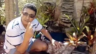 Como se faz uma fonte artificial .