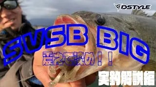 【公式】震えて沈む巨大な虫！！/ SVSB BIG 実釣解説