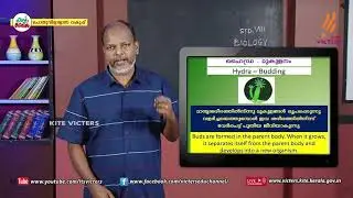 KITE VICTERS STD 08 Biology Class 23 (First Bell-ഫസ്റ്റ് ബെല്‍)
