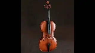 Cello