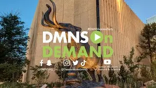 Science Division Live: Jones-Miller Collection