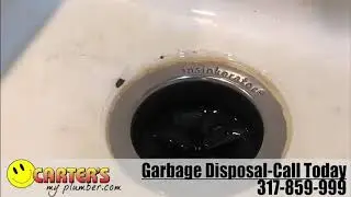Carter's My Plumber - Jobs of the Day!