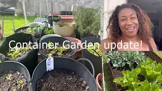 Garden Vlog | Container Garden & Raised Bed Crop Update