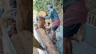 MARAM VALIKAN POY#tatayodha #offroad #kerala #ksd #automobile 🛻🛻🛻🛻