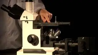 El microscopio Metalográfico
