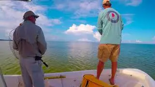 Inshore Fishing in Port St Joe FL