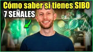 SIBO: La Causa Raíz de Tu Hinchazón (Nutricionista Explica)