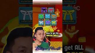 How to Get the Full Dojo Belt and Detailed Review | Blox Fruits Guide 01