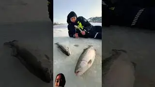 #fishing #carpfishing #cooking #salmon #survival #food #camping #campping #automobile #outdoors