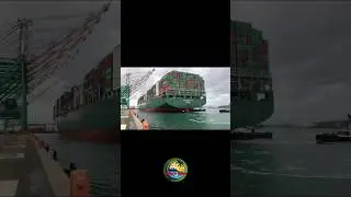 Mongla sea port | Travel to mongla | #sundarban #মোংলা #monglasilo #silo