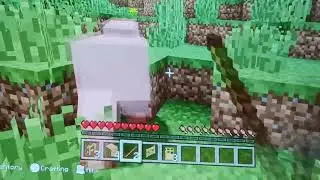 Enderman - do not touch the color gray