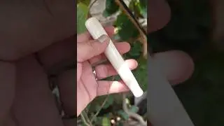 Tutorial poles pipa gading.