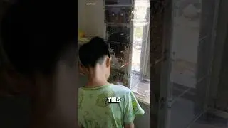 This Family Keeps Indoor Bees