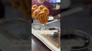 I Tried The Best DISNEY WORLD Mickey Waffles