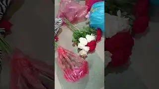 Nice Clip Selected 2024 #fuuny #gamingvideos #asmrsounds #beauty #flowers #worldcup