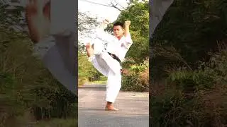 Jitte Right Direction  #quanghaindk #karate #martialarts #quanghai #kata #shortvideo #shorts