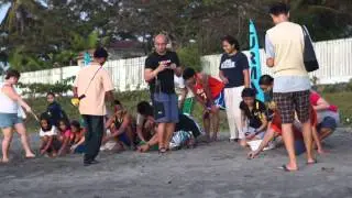 Pawikan Watchers - Training the Watchers