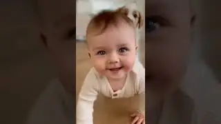 TINY dog rides a Baby?! LOL