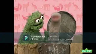 How Silly! An Elephant In A Trash Can?! (Elmo's World Wild Animals Clip) #elmosworld #newvideo2026