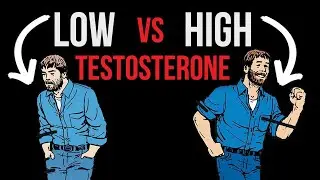 Testosterone And Mental Health - Are you in the safe zone?