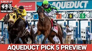 Aqueduct Preview & FREE Pick 5 Bets | Blinkers Off 757