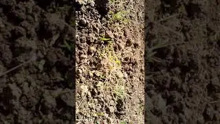 20170610 101847