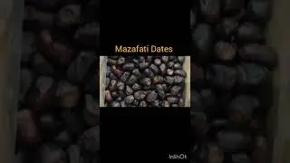 Kimia Dates Wholesale: Best Market Prices 🌴 #KimiaDates #WholesaleMarket