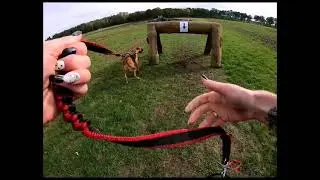 Strongdog north 8km
