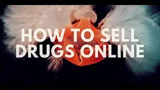 Intro - How To Sell Drugs Online (Fast) [720p]