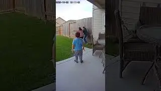 Backyard Wildlife Feeding Gone Wrong