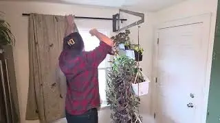 Tropism Verdant