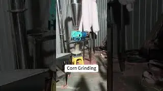 Manufacturing video of corn flour #grindingmachine