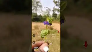 creative photography tips  withe phone using pro mood. wait for result. #aziz_click #photographyho