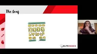 GCSE YEAR 10 - Biology - Photosynthesis & Plant Reproduction | Monthly Class