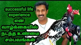 🫡🤩Great experience wi🚀rocket😎 Javaaseel🌈life really storyஎன் வாழ்க்கையின் சேவல் கோழிகளின் அனுபவம்