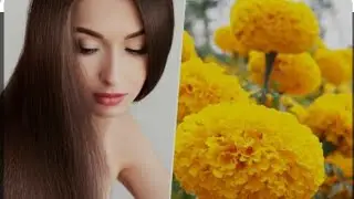 marigold flower for thick hair