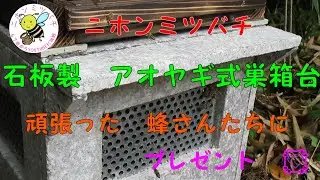 【ニホンミツバチ】Vol.13　アカリンダニ感染　スムシ被害で　消滅寸前の群れが　継箱をするまでに　復活しました。