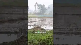 শুভ সকাল পর্ব ৩৩৯ | চিত্ত মিডিয়া