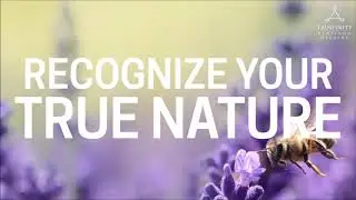 Recognize Your True Nature