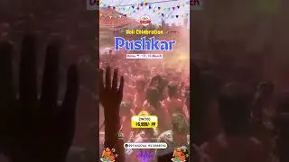 🌸 Celebrate Holi in Pushkar! 🎨✨ | A Festive Getaway Like Never Before!  #travel #reels #holi2025