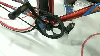 Duranta Sports bike 26