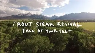 Fall at Your Feet (Official)
