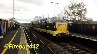 55002 - D9002