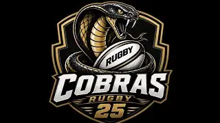 Rugby 25 Champions cup Stade toulousain vs Sale Sharks
