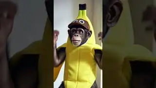 #chinpance