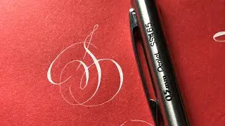 letter S in copperplate calligraphy/ calligraphy and hand lettering / calligraphy