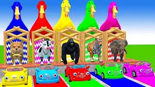 Long Slide Game With Cow Elephant Gorilla Hippopotamus Tiger 3d Animal Game Funny 3d Animals