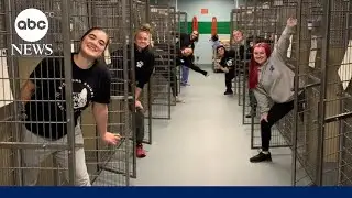 Animal shelter finds homes for pets on Thanksgiving