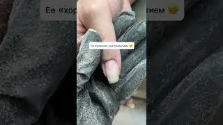 #nails #вайлбериз #дизайнногтей #обзорывб #маникюр #стемпингдизайн #ногти #nailart #vlog #duet
